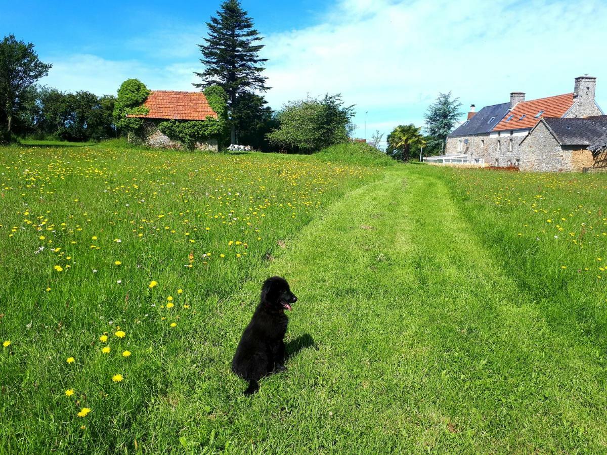 L' Anpeg, Gite Dans Le Cotentin Jusqu'A 8 Personnes Besneville Esterno foto